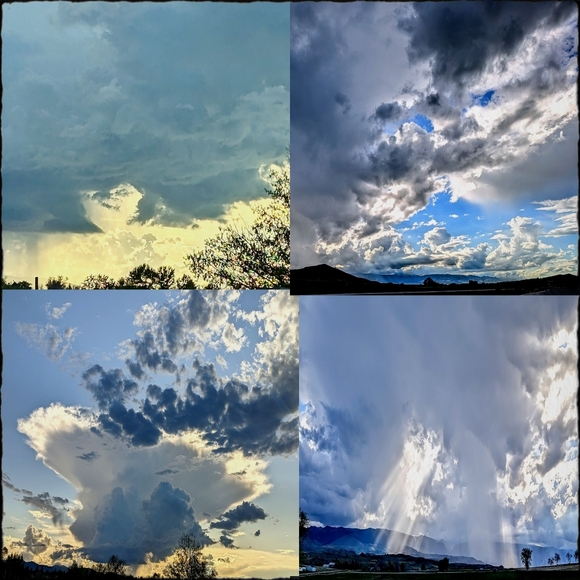 Meet your Posher, Jodi - Picture 12 of 16